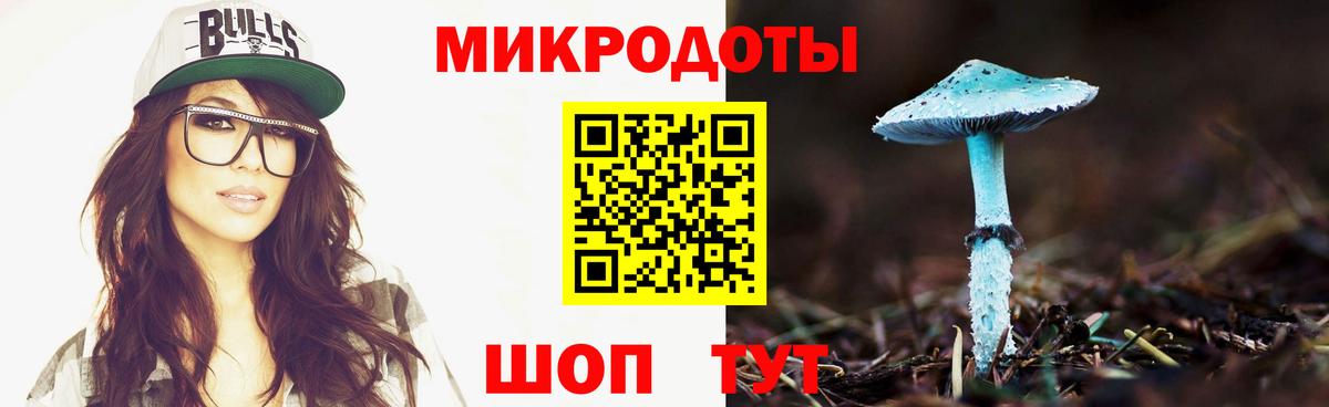 Псилоцибиновые грибы MAGIC MUSHROOMS Вичуга
